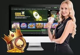pg168bet platform